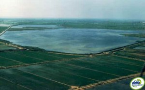 Canal vell delta de l'Ebre