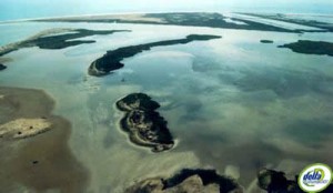 Desenvocadura delta de l'Ebre