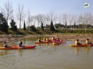 Kayak al delta de l'Ebre