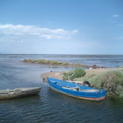 el delta de l'Ebre