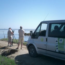 el delta de l'Ebre