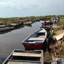 el delta de l'Ebre