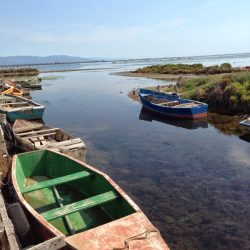 el delta de l'Ebre