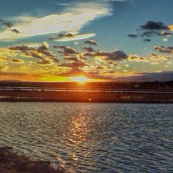 el delta de l'Ebre