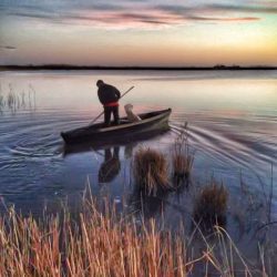 el delta de l'Ebre