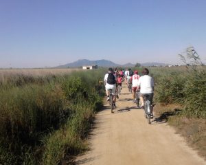 ruta btt delta de l'ebre