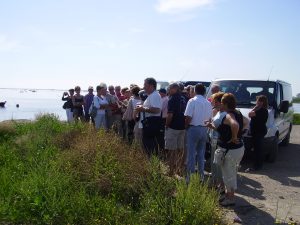 Grups i empreses al delta de l'Ebre