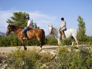 Ruta a cavall pels ports Tortosa-Beceite